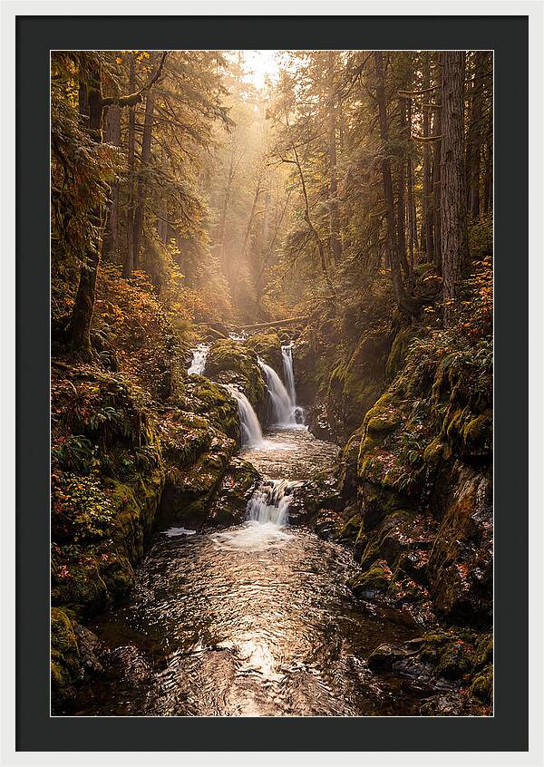 Tinkers Creek Serenity
