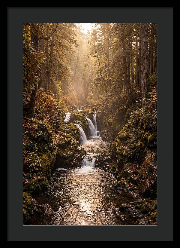 Tinkers Creek Serenity
