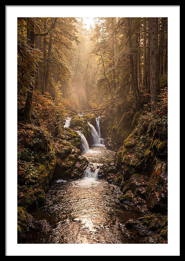 Tinkers Creek Serenity