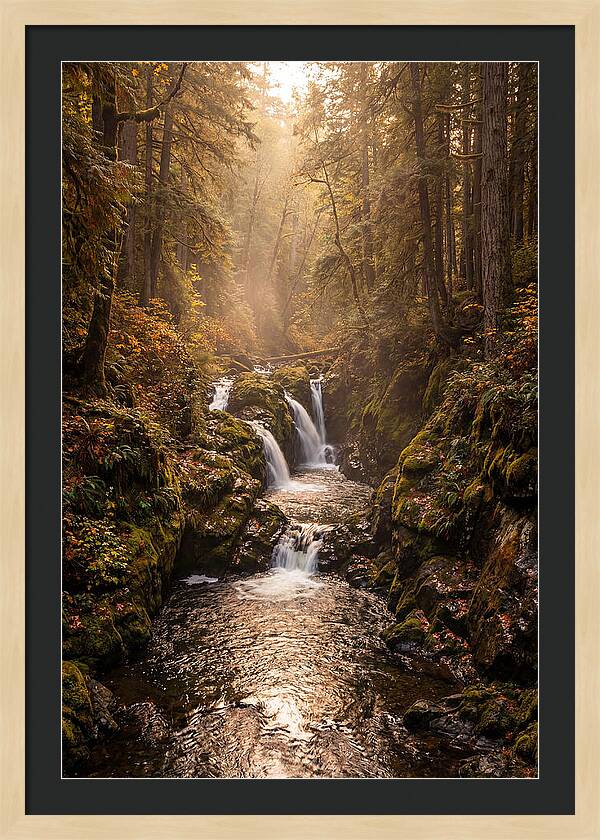 Tinkers Creek Serenity