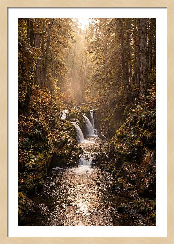Tinkers Creek Serenity