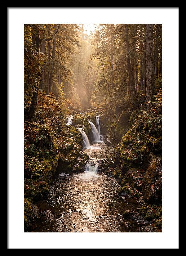 Tinkers Creek Serenity