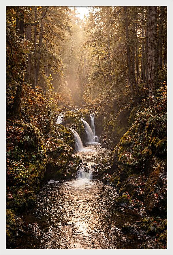 Tinkers Creek Serenity