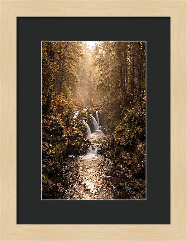 Tinkers Creek Serenity