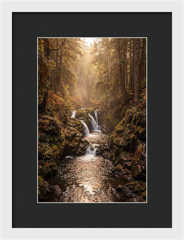 Tinkers Creek Serenity