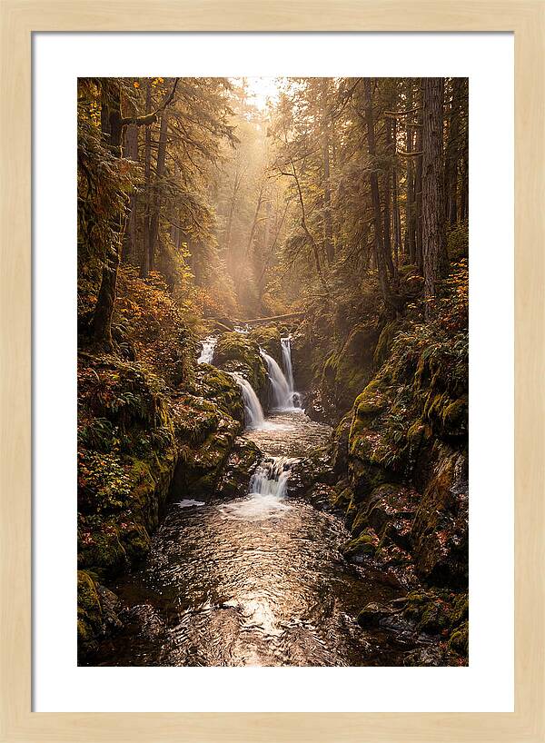 Tinkers Creek Serenity
