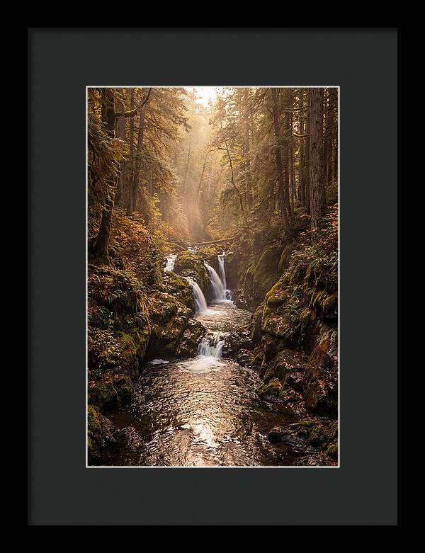 Tinkers Creek Serenity
