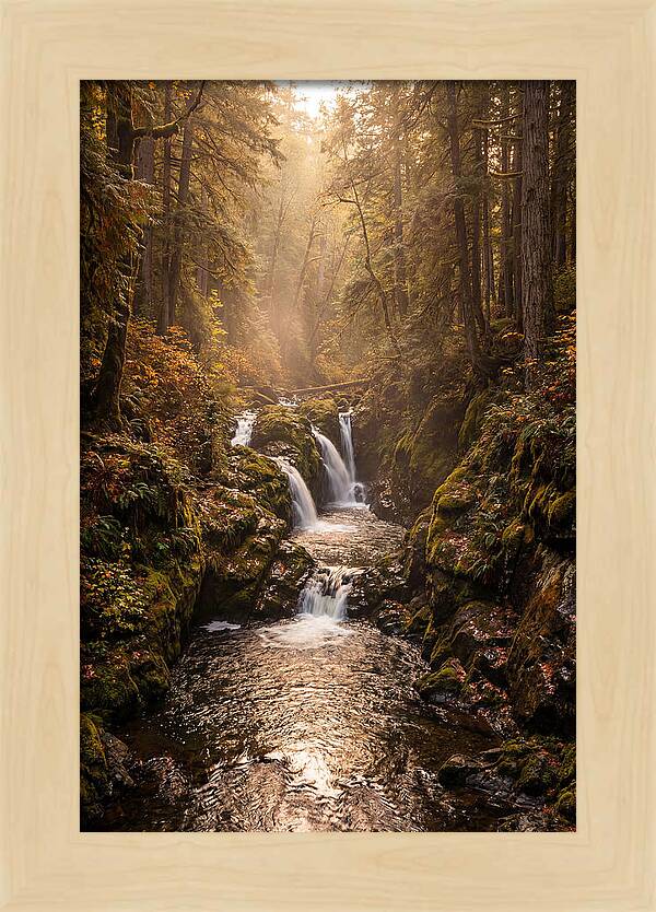 Tinkers Creek Serenity