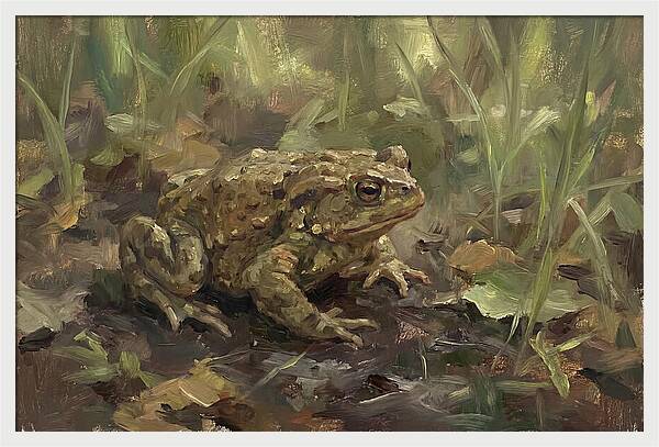 Toad Among The Grass