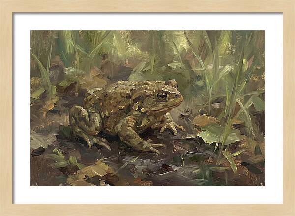 Toad Among The Grass