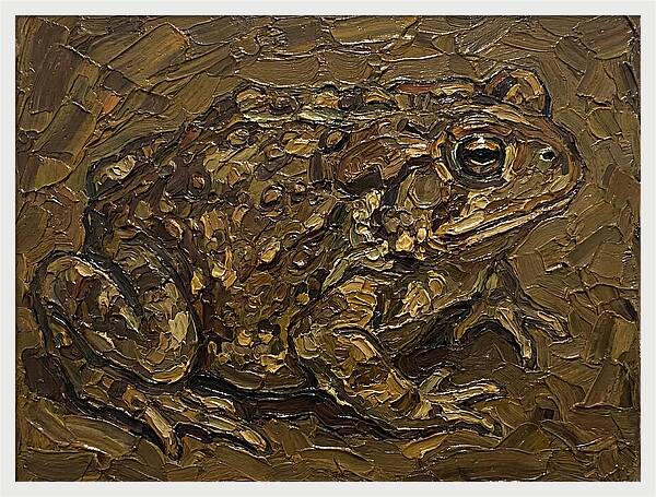 Toad In Earthy Tones