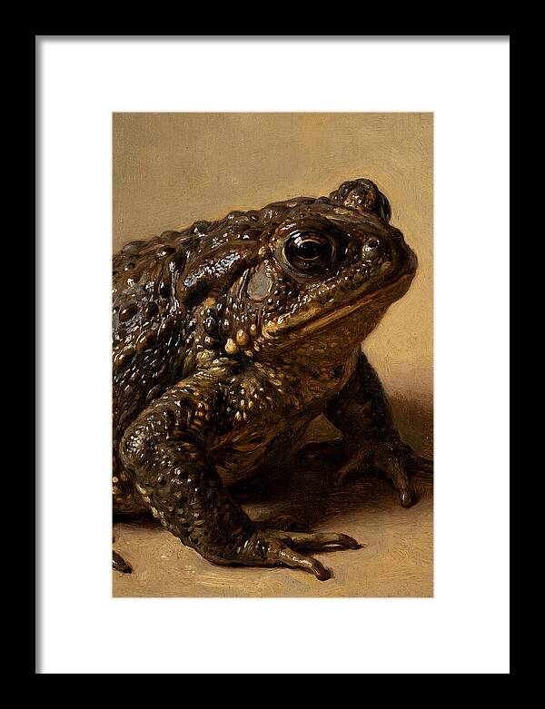 Toad Realism Study