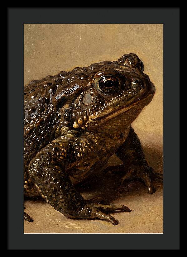 Toad Realism Study