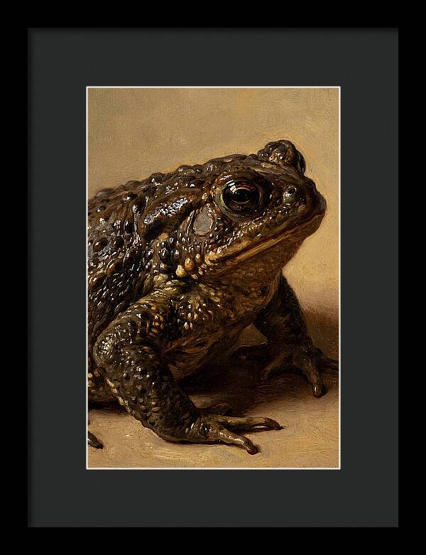 Toad Realism Study