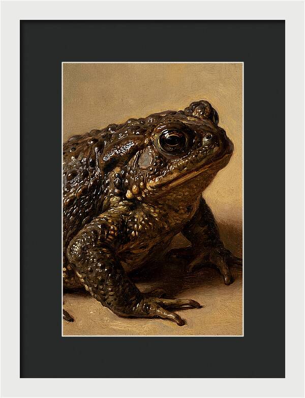 Toad Realism Study