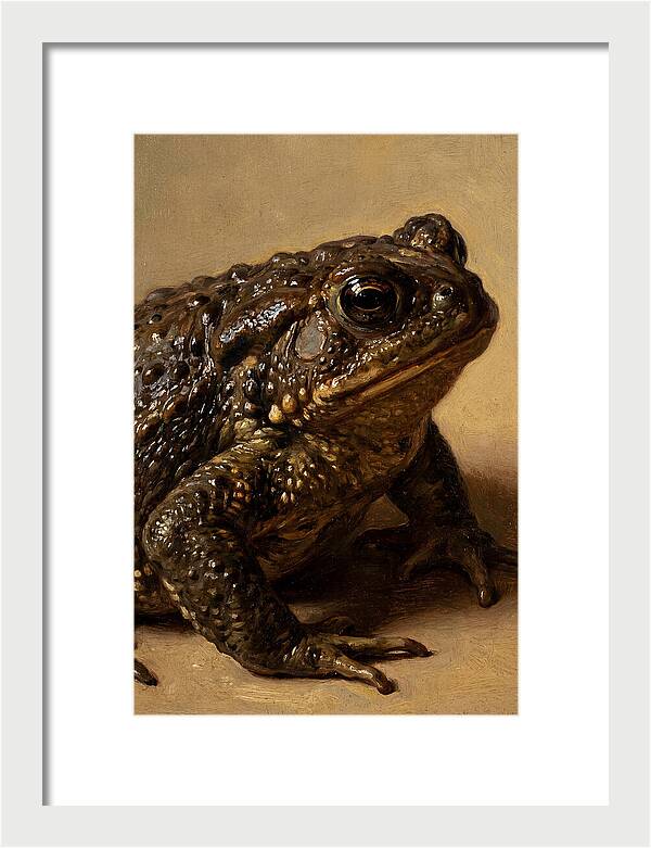 Toad Realism Study