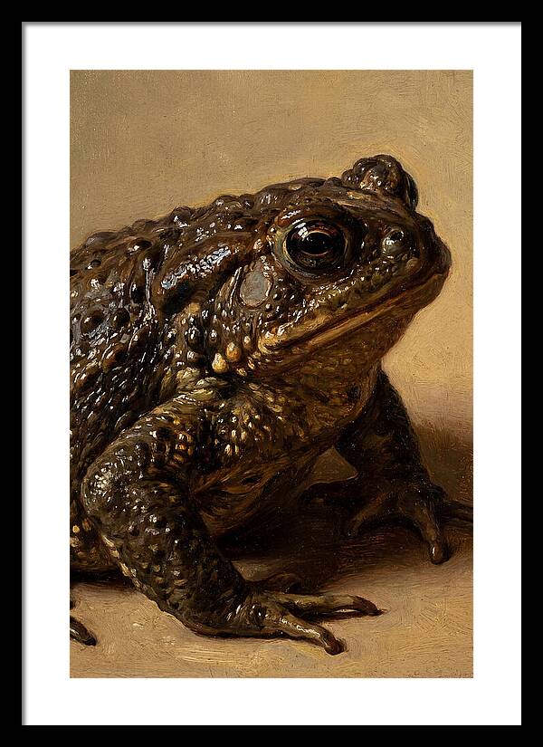 Toad Realism Study