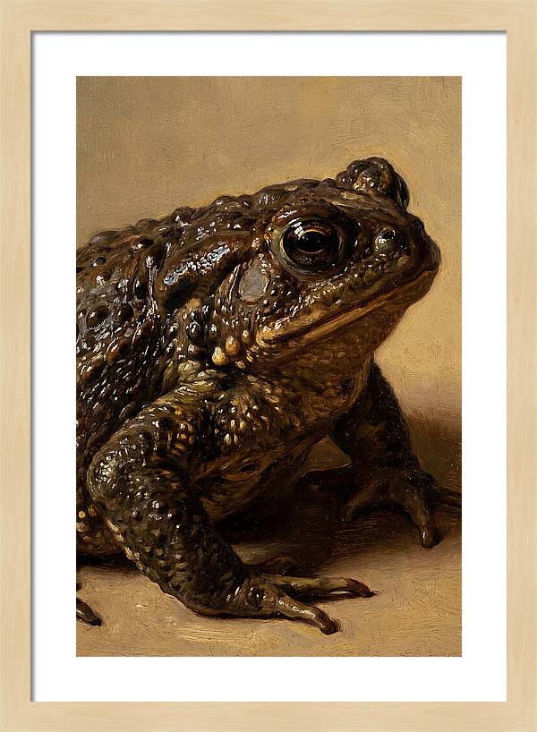 Toad Realism Study