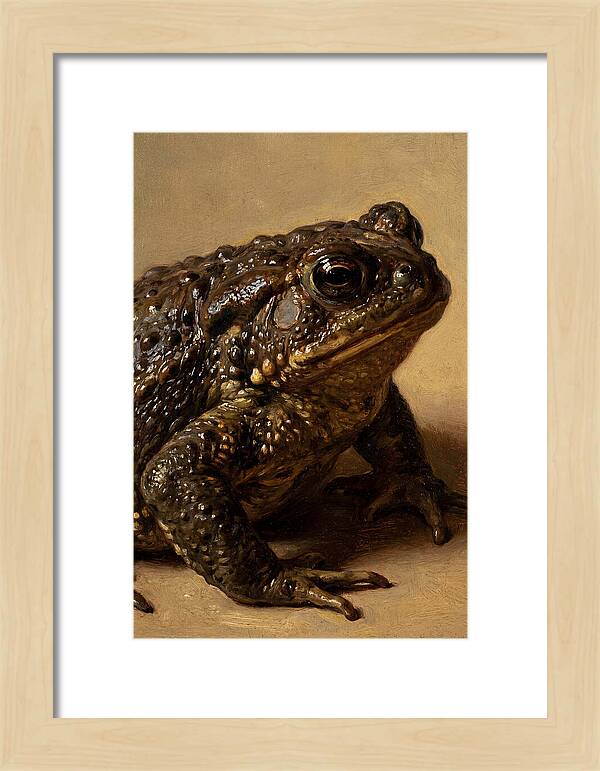 Toad Realism Study