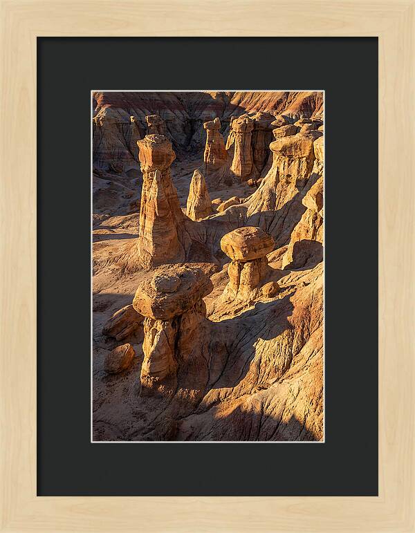 Toadstool Park Hoodoos