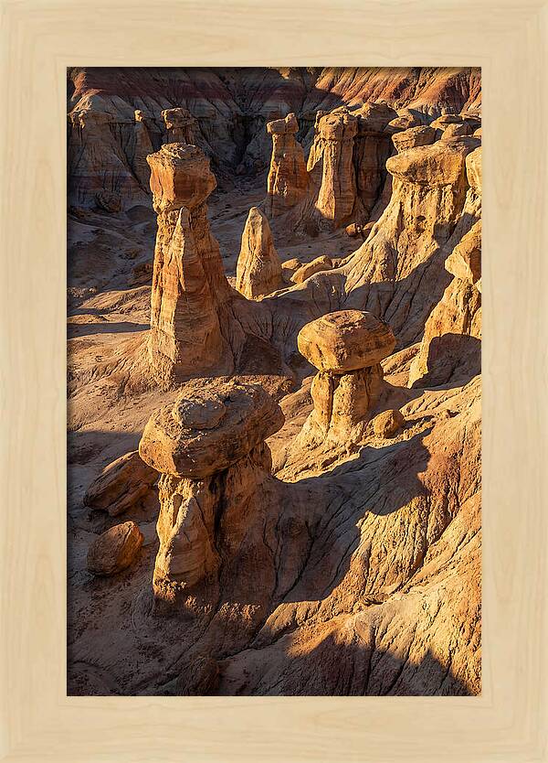 Toadstool Park Hoodoos