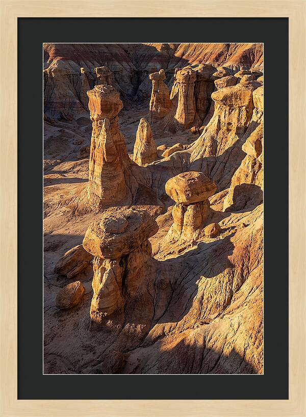 Toadstool Park Hoodoos