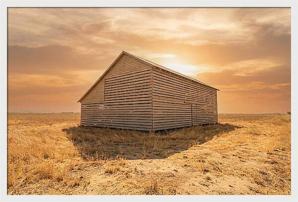 Tobacco Barn At Dawn