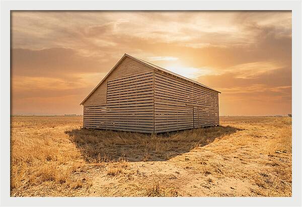 Tobacco Barn At Dawn