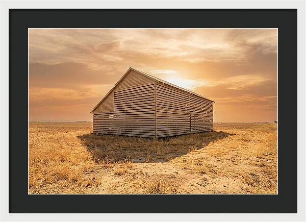 Tobacco Barn At Dawn