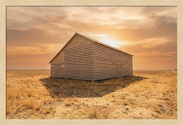 Tobacco Barn At Dawn