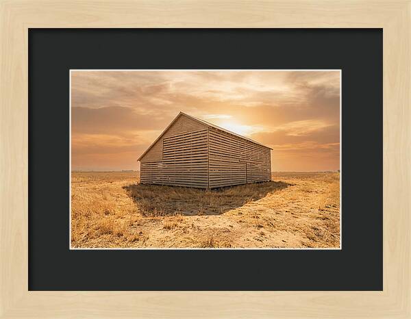 Tobacco Barn At Dawn