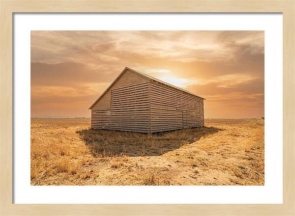 Tobacco Barn At Dawn