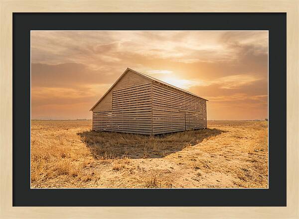 Tobacco Barn At Dawn