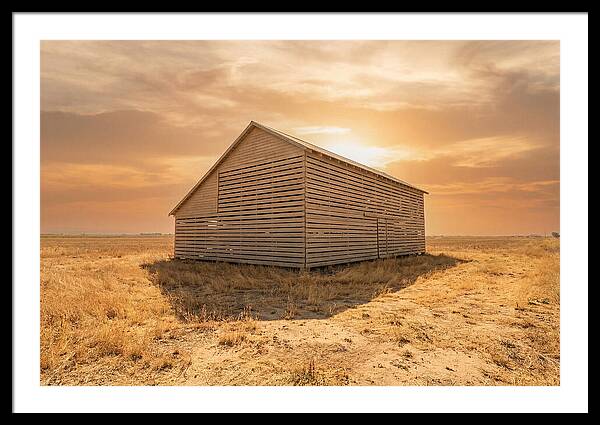 Tobacco Barn At Dawn
