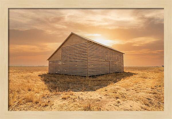 Tobacco Barn At Dawn