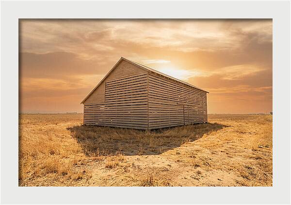 Tobacco Barn At Dawn