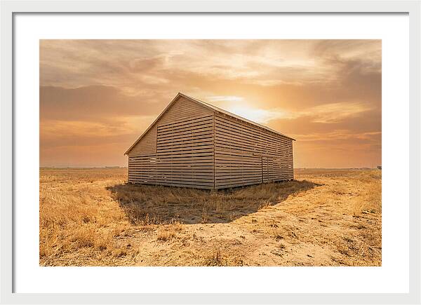 Tobacco Barn At Dawn