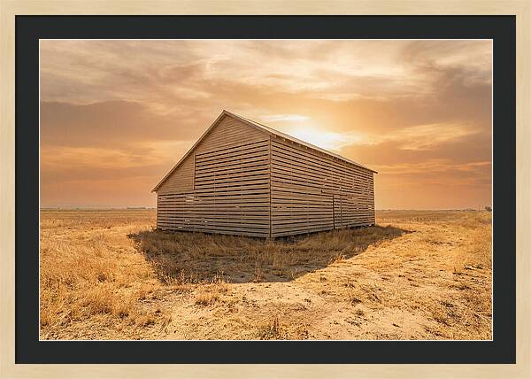 Tobacco Barn At Dawn