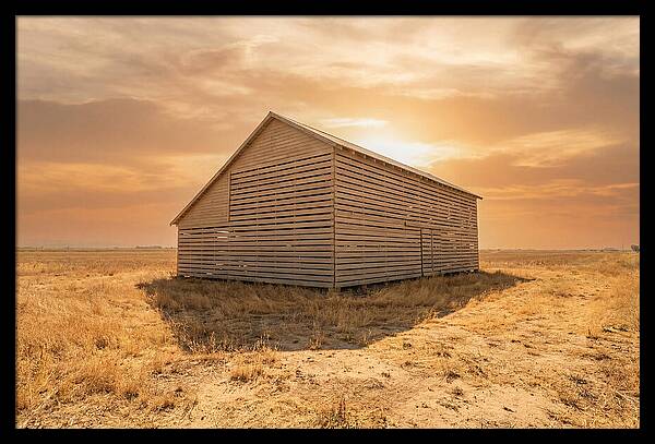 Tobacco Barn At Dawn