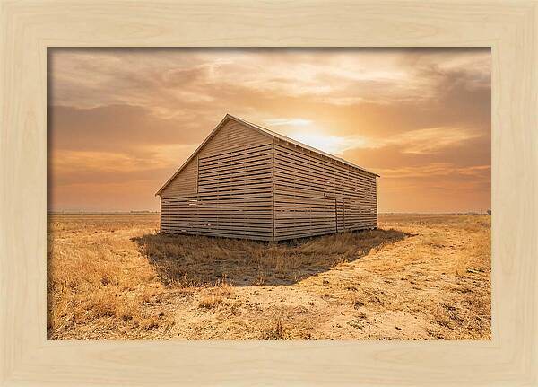 Tobacco Barn At Dawn