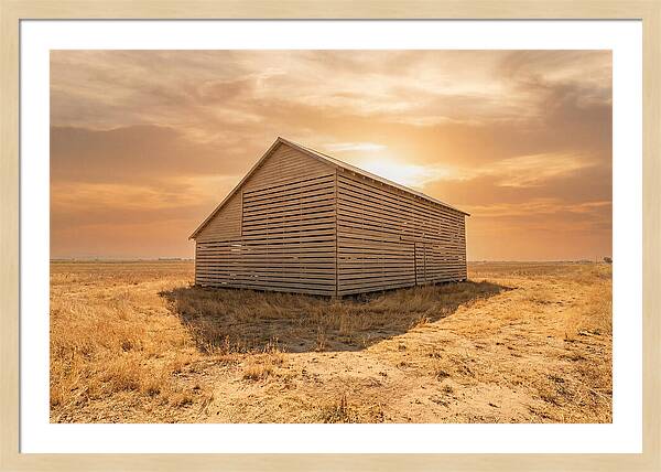 Tobacco Barn At Dawn