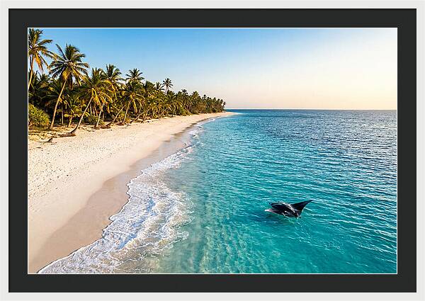 Tofo Beach Serenity