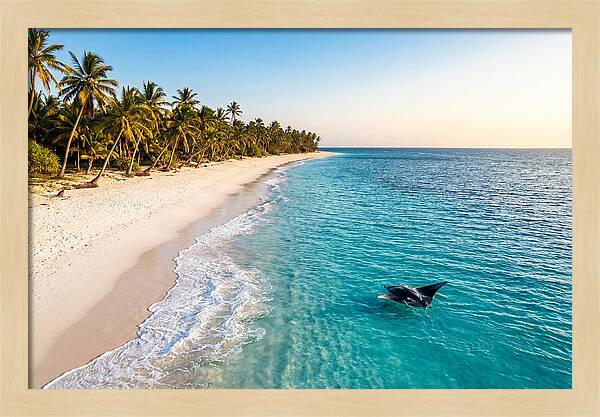 Tofo Beach Serenity