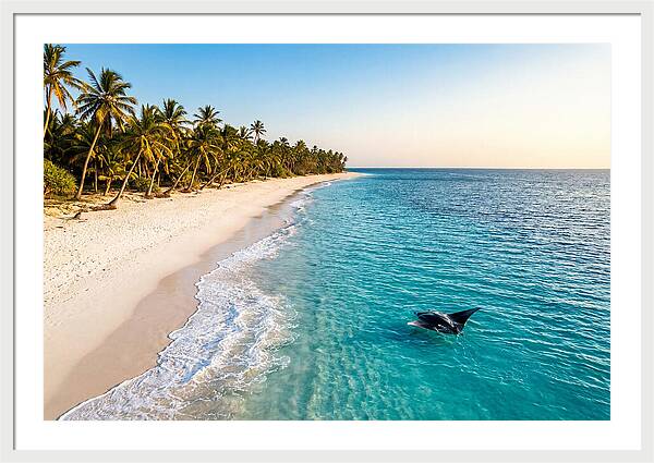Tofo Beach Serenity