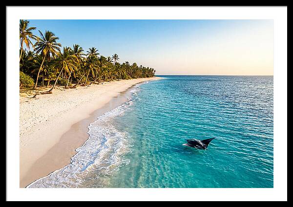 Tofo Beach Serenity