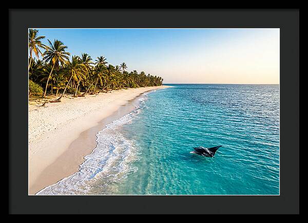 Tofo Beach Serenity