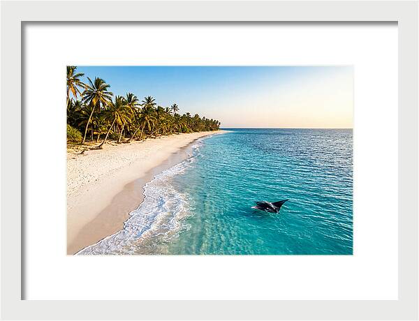 Tofo Beach Serenity
