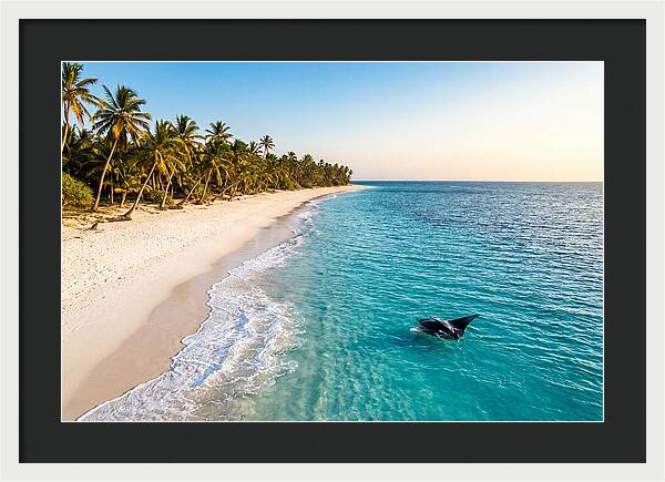 Tofo Beach Serenity