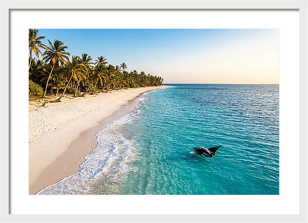 Tofo Beach Serenity