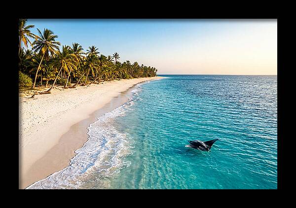 Tofo Beach Serenity